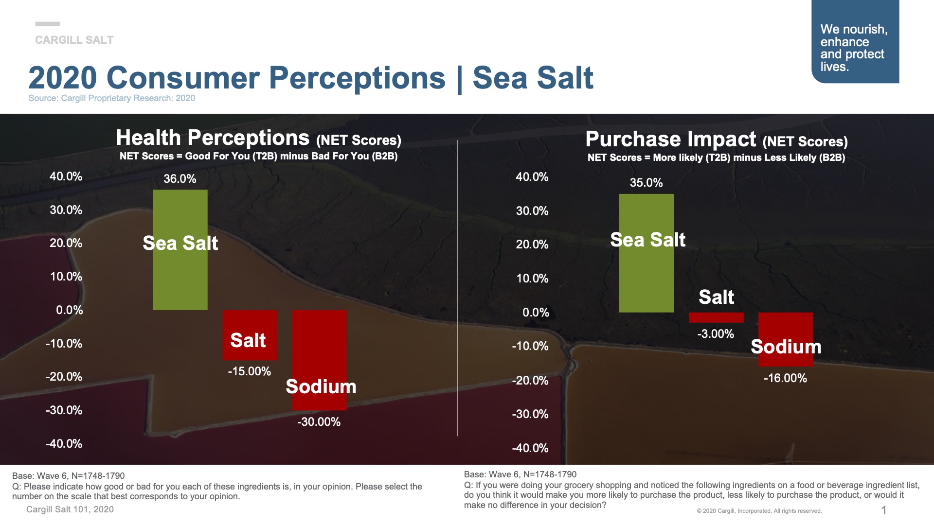 2020 Sea Salt Consumer Perceptions