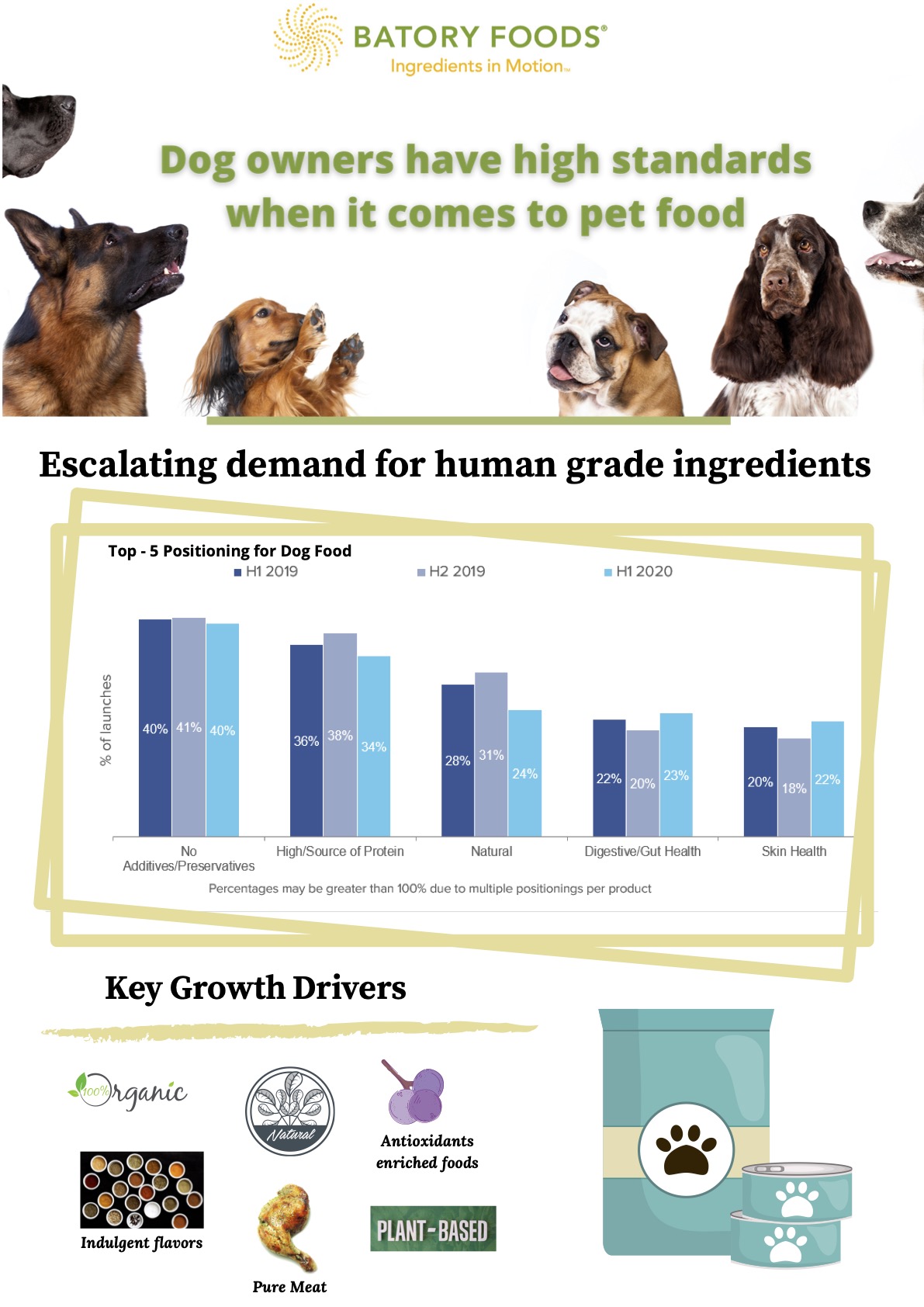 Dog Food Insights