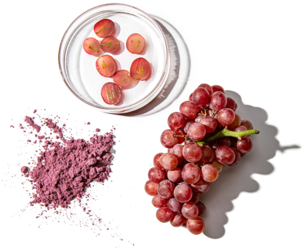 Grapes and Powder