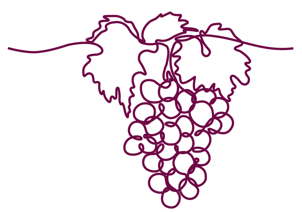 Grapes Line Drawing