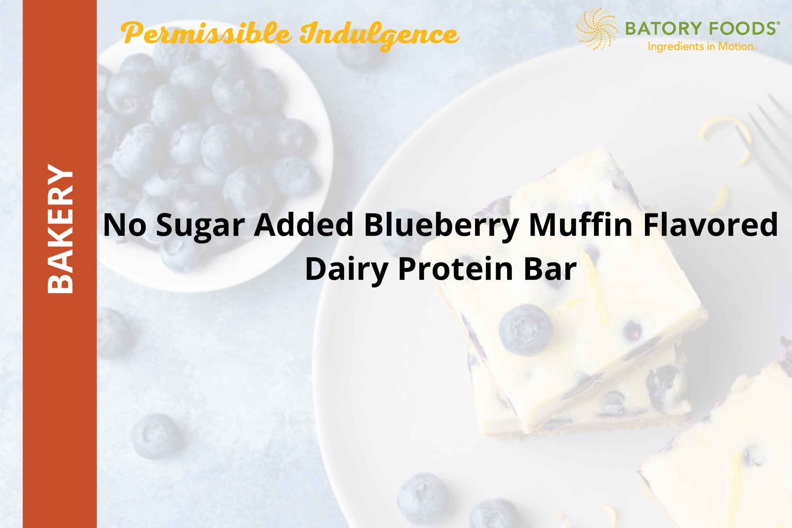 No Sugar Added Blueberry Muffin Flavored Dairy Protein Bar
