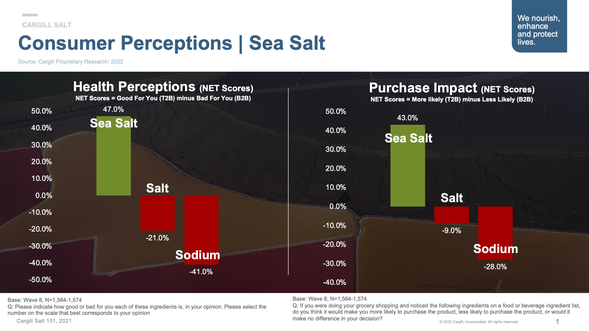 Sea Salt Consumer Perceptions