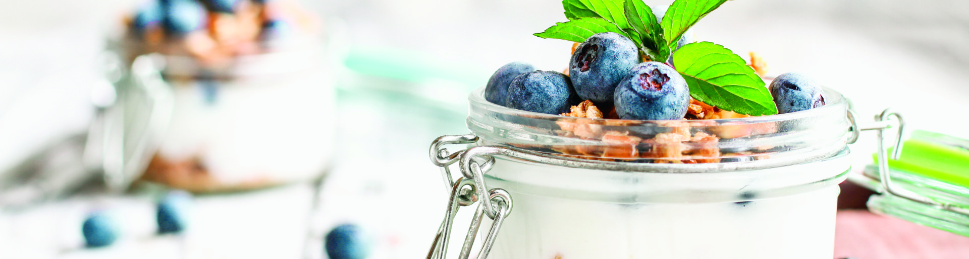 Yogurt and Blueberries - Functional Snacking