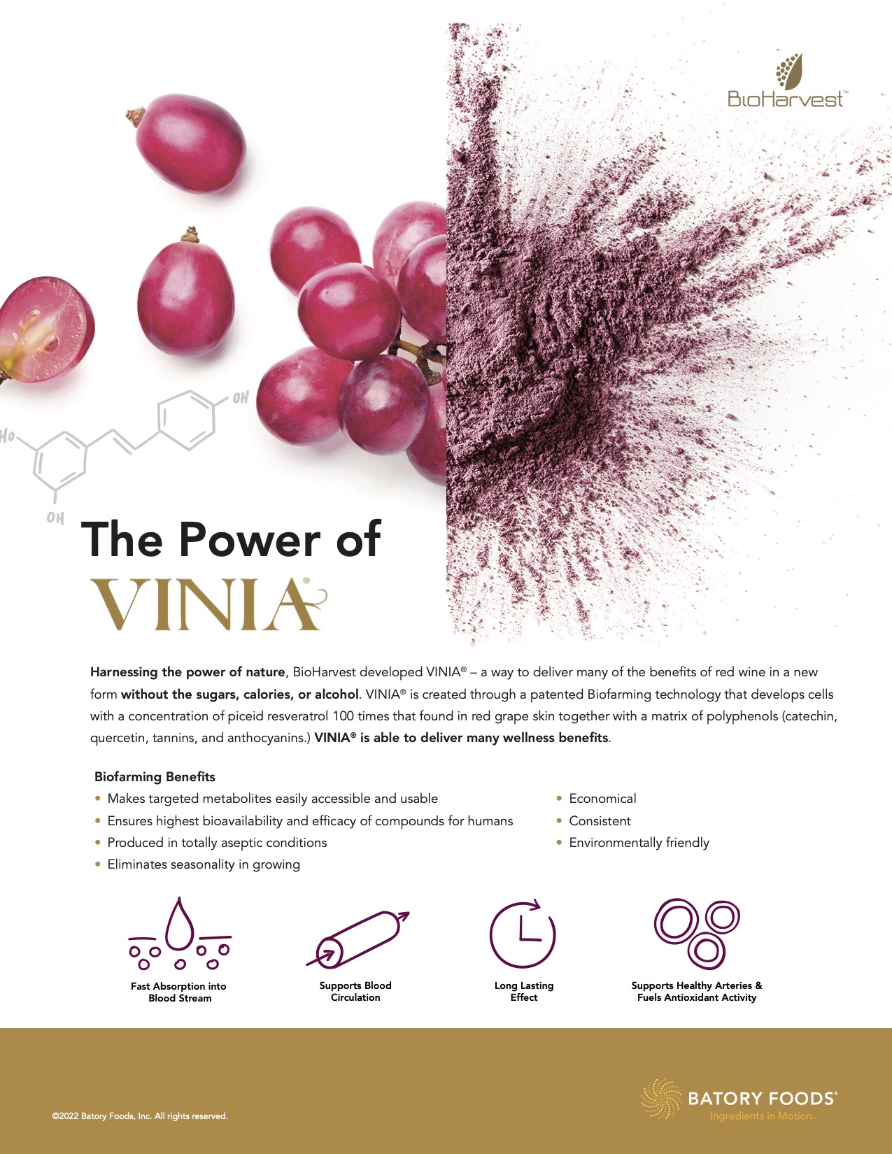 The Power of Vinia® PDF