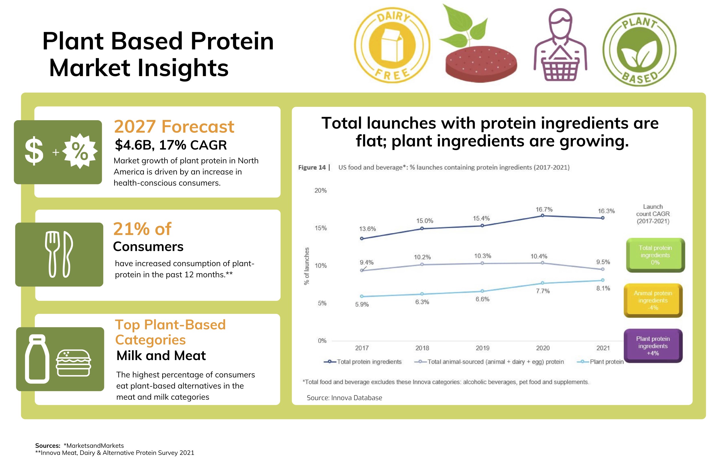 Plant Based Protein Market Insights