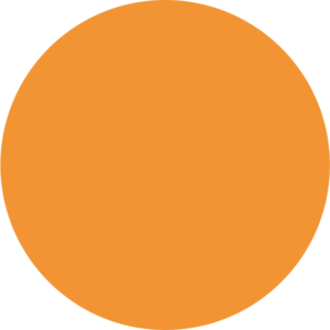 Orange Circle